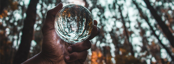 banner notizia